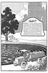 1917 Packard Trucks Classic Ads